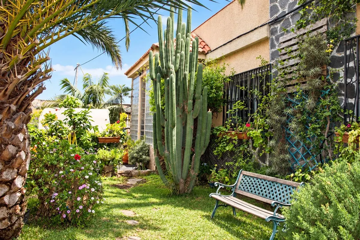 Terraza con vistas